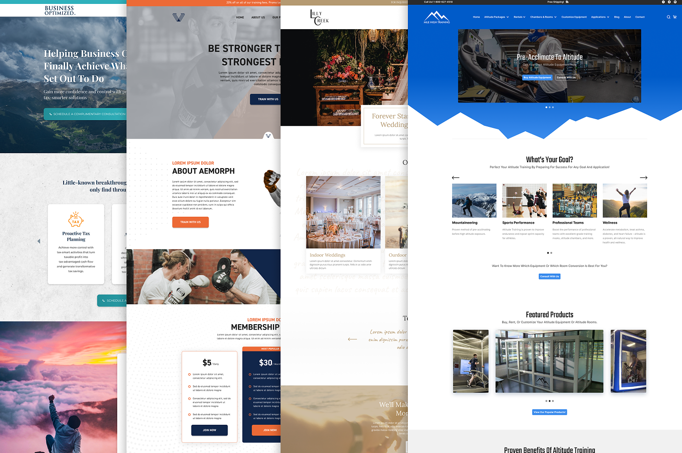 Other Websites — Branding · Websites